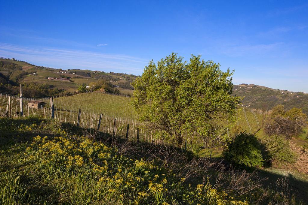 I Tre Poggi Dimora Di Charme Villa Canelli Eksteriør bilde