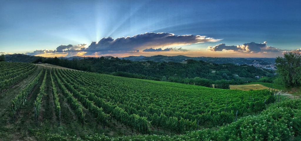I Tre Poggi Dimora Di Charme Villa Canelli Eksteriør bilde
